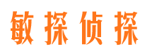 湖口市侦探调查公司